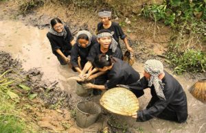 Team Building miền Tây 2 ngày 1 đêm | Trải nghiệm một ngày làm dân miệt vườn