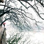 Phong cảnh làm nên vẻ đẹp của mùa đông Hà Nội – Những khoảnh khắc đẹp của tiết trời se lạnh