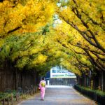 Những điểm đến không thể bỏ qua ở Tokyo Nhật Bản
