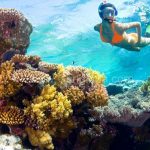 Tour du lịch Sơn Trà lặn ngắm san hô 1 ngày