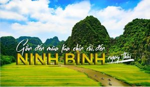 Khám phá Ninh Bình mùa lúa chín