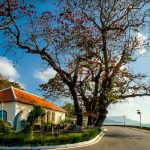 Ghé qua 5 di tích của Côn Đảo – Hòn đảo linh thiêng, huyền bí