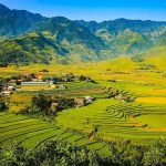 Tour Mù Cang Chải 3 Ngày 2 Đêm: Đèo Khau Phạ – Tú Lệ – Trạm Tấu | Thu vàng Tây Bắc