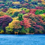 Tour du lịch Nhật Bản 4N3Đ: Tokyo | Hakone | Núi Phú Sĩ
