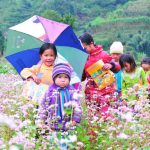 Kinh nghiệm du lịch Hà Giang – Bí kíp chinh phục “con đường hạnh phúc” giữa núi đồi Tây Bắc
