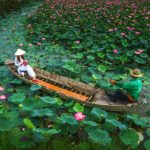 Du lịch Đồng Tháp – Bí kíp du hí vùng đất sen hồng ý nghĩa nhất