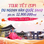 Tour du lịch Tết:  Chương trình Charter Cheoungju – Du ngoạn Hàn Quốc  5N4Đ