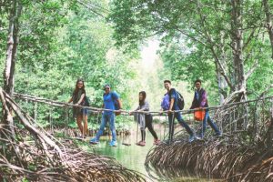 Tour Cần Giờ 1 Ngày từ TP.HCM: Khám Phá Rừng Sác và Đảo Khỉ – Trải Nghiệm Độc Đáo Gần Sài Gòn