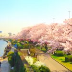 Tour du xuân Nhật Bản 4N3Đ | Tokyo – Hakone – Núi Phú Sĩ – Yokohama | Giá ưu đãi