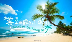 Tour Côn Đảo 2 ngày 1 đêm | Khám phá vẻ đẹp hoang sơ nơi đảo xa