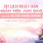 Tour du lịch Nhật Bản tháng 3 mùa hoa anh đào 6N5Đ giá rẻ, nhiều ưu đãi