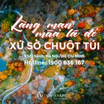 Tour du lịch Úc 5 ngày 4 đêm: Khám phá thành phố Sydney | Canberra mùa thu