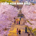 Tour Hàn Quốc Mùa Xuân 5N4Đ: Seoul – Nami – Everland – CV Hoa Anh Đào Yeouido