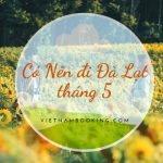 Du lịch Đà Lạt tháng 5 – Trải nghiệm mùa mưa xứ mộng mơ