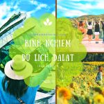 Kinh nghiệm du lịch Đà Lạt mới nhất – Chuyến đi nhớ mãi của tuổi thanh xuân