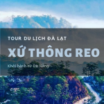 Tour Đà Nẵng – Đà Lạt 3 Ngày 2 Đêm: Khám Phá Thành Phố Mộng Mơ Và Trải Nghiệm Phố Núi 4 Mùa Hoa