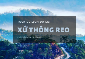 Tour Đà Nẵng – Đà Lạt 3 Ngày 2 Đêm: Khám Phá Thành Phố Mộng Mơ Và Trải Nghiệm Phố Núi 4 Mùa Hoa