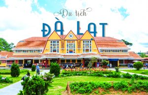 Tour du lịch Hà Nội – Đà Lạt 3 ngày 2 đêm: Tham quan Đà Lạt View, Vé máy bay khứ hồi