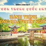 Tour Trung Quốc 8N7Đ bay thẳng từ Đà Nẵng | Hành trình “Phong hoa Tuyết nguyệt”, du ngoạn Côn Minh, Đại Lý, Lệ Giang, Shangri-La