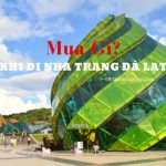 Lưu ngay list đặc sản Nha Trang Đà Lạt | Ngon bổ rẻ, Có thể mua làm quà