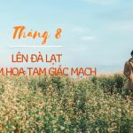 Du lịch Đà Lạt tháng 8 – Những trải nghiệm không thể bỏ lỡ