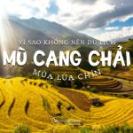 Vì sao không nên du lịch Mù Cang Chải mùa lúa chín?