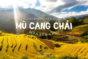 Vì sao không nên du lịch Mù Cang Chải mùa lúa chín?