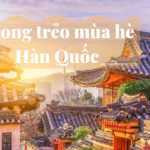 Du lịch Hàn Quốc tháng 8 – Tưng bừng cùng mùa lễ hội