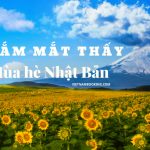 Du lịch Nhật Bản tháng 8 – Tổng hợp những kinh nghiệm siêu hữu ích