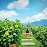 Sapa tháng 8 du lịch đẹp ngỡ ngàng tựa hư không!