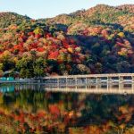 Mùa lá đỏ ở Kyoto vào tháng mấy? Những địa điểm ngắm lá đỏ ở Kyoto siêu đẹp