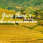 Du lịch Hà Giang tháng 9 – Đẹp nao lòng mùa lúa chín