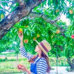 Tour Du Lịch Nhật Bản 4 ngày 3 đêm: Trải Nghiệm Tokyo – Yamanashi – Fuji