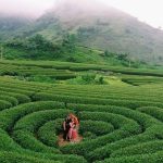 Review kinh nghiệm đi Mộc Châu 3 ngày 2 đêm mới nhất cho giới rẻ