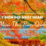 Khám phá vẻ đẹp mùa thu Hàn Quốc – Chuyến đi nhớ mãi của thanh xuân