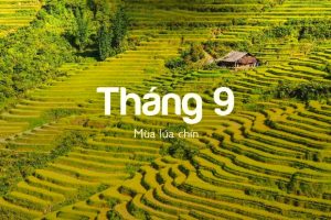 Sapa tháng 9 – Trải nghiệm mùa vàng quyến rũ bước chân du khách
