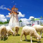 Tour Bangkok – Pattaya – Swiss Sheep Farm – Coral Island 5N4Đ