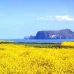 Tour du lịch Hàn Quốc 6 ngày 5 đêm: Seoul – Jeju – Đảo Nami – Everland