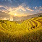 Kinh nghiệm phượt Hà Giang mùa lúa chín dân xê dịch nhất định phải biết