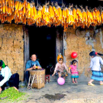 Du lịch Hà Giang tháng 12 trọn vẹn với một vài kinh nghiệm hữu ích