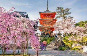 Tour Nhật Bản Trượt Tuyết 5N5Đ | HCM – Osaka – Kobe – Yamanashi – Tokyo