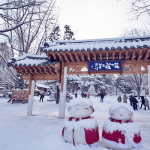 Tour du lịch Hàn Quốc 4 ngày 3 đêm: Seoul – Nami – Everland KH từ Đà Nẵng