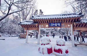 Tour du lịch Hàn Quốc 4 ngày 3 đêm: Seoul – Nami – Everland KH từ Đà Nẵng