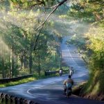 Kinh nghiệm du lịch bụi Đà Lạt đầy đủ và tiết kiệm chi phí nhất