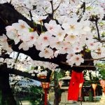 Tour du lịch Nhật Bản 6 ngày 5 đêm: Osaka – Kyoto –  Kobe – Nagoya – Yamanashi – Tokyo