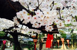 Tour du lịch Nhật Bản 6 ngày 5 đêm: Osaka – Kyoto –  Kobe – Nagoya – Yamanashi – Tokyo
