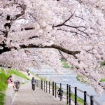 Tour du lịch Nhật Bản Osaka – Kyoto – Kobe 4N3Đ Tết giá rẻ