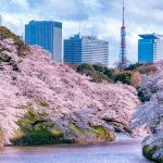 Tour du lịch Nhật Bản 5 ngày 4 đêm: Tokyo – Yamanashi – Núi Phú Sĩ