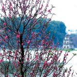 Tết ở Hà Nội đi đâu chơi ? Các địa điểm du lịch Nguyên Đán đầu năm 2021 HOT nhất