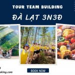 Tour Team Building Đà Lạt 3N3Đ: Trải Nghiệm Gắn Kết Đồng Đội Độc Đáo